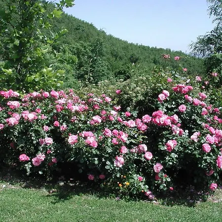 Agriturismo Podere Doglio Langhirano